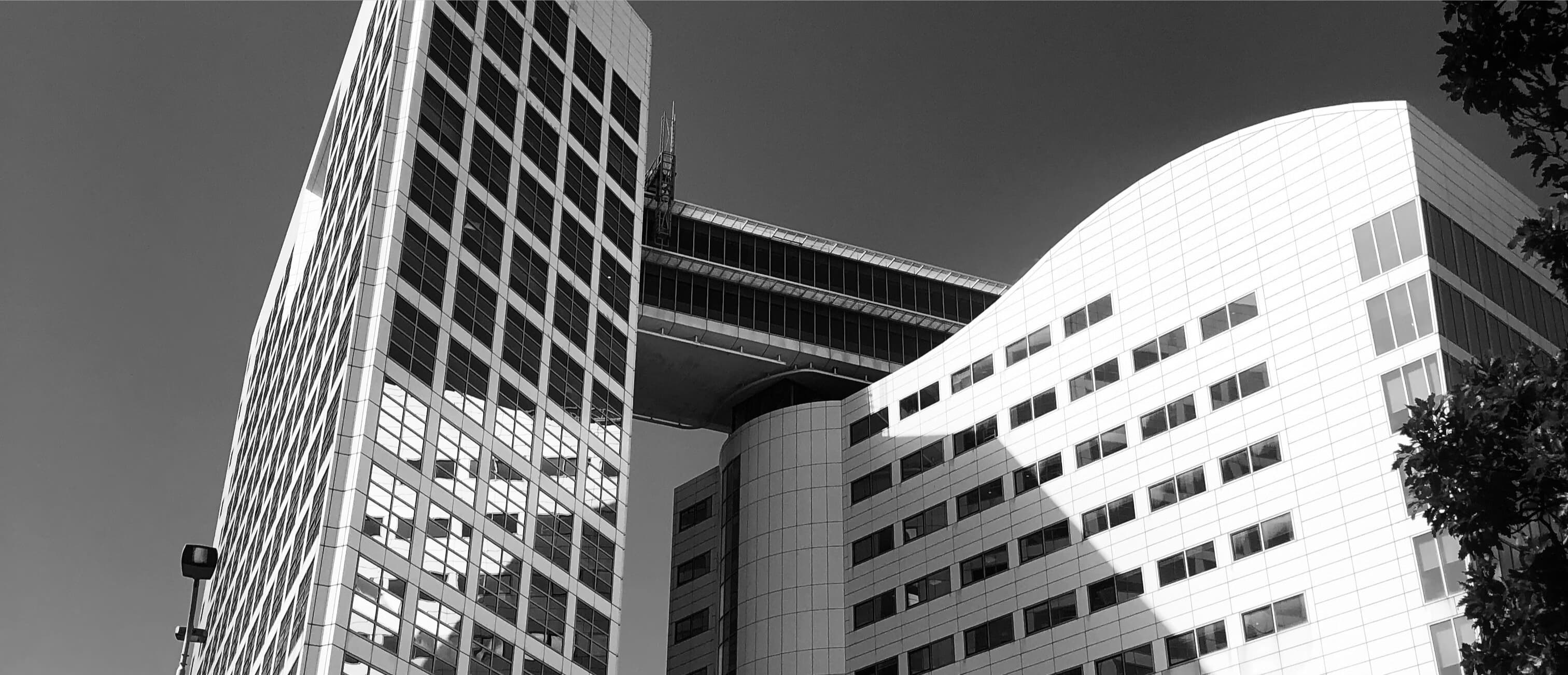 MGF Law Office
